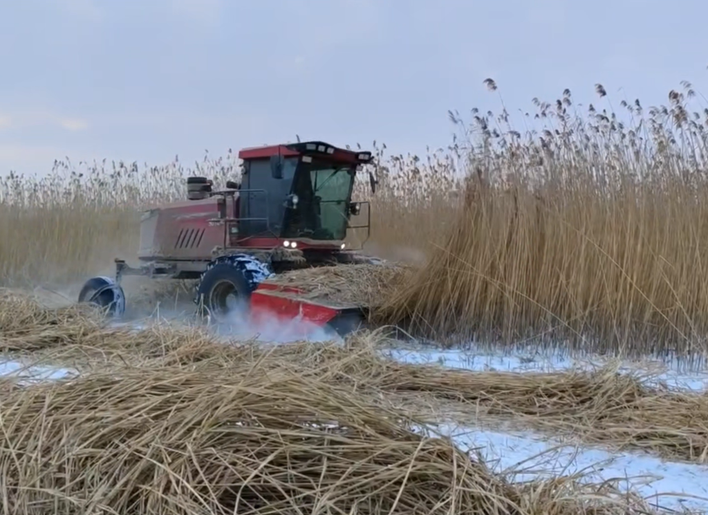割草壓扁機全年作物收割視頻