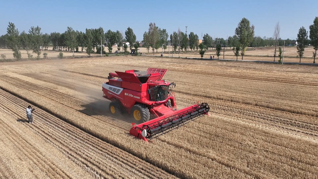 雷沃谷神GS8188作業(yè)實(shí)況