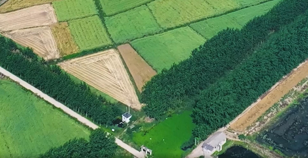 湖北履帶機(jī)麥?zhǔn)?>
            </div>
            <div   id=